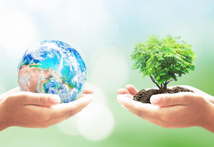 two hands one holding the image of earth and the other holding a green tree